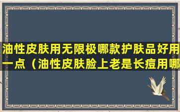 油性皮肤用无限极哪款护肤品好用一点（油性皮肤脸上老是长痘用哪款护肤品）
