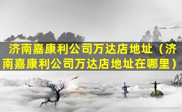 济南嘉康利公司万达店地址（济南嘉康利公司万达店地址在哪里）