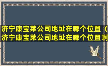 济宁康宝莱公司地址在哪个位置（济宁康宝莱公司地址在哪个位置啊）
