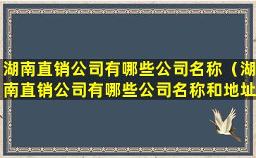 湖南直销公司有哪些公司名称（湖南直销公司有哪些公司名称和地址）