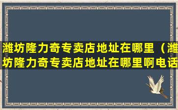潍坊隆力奇专卖店地址在哪里（潍坊隆力奇专卖店地址在哪里啊电话）