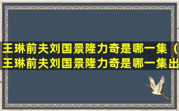 王琳前夫刘国景隆力奇是哪一集（王琳前夫刘国景隆力奇是哪一集出现的）