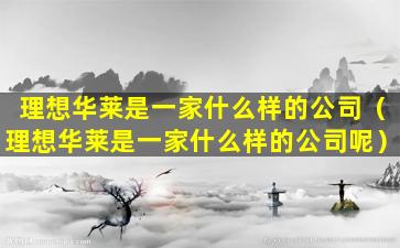 理想华莱是一家什么样的公司（理想华莱是一家什么样的公司呢）