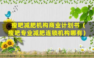 瘦吧减肥机构商业计划书（瘦吧专业减肥连锁机构哪有）