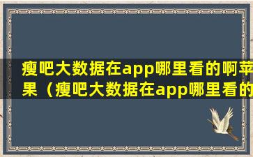 瘦吧大数据在app哪里看的啊苹果（瘦吧大数据在app哪里看的啊苹果版）