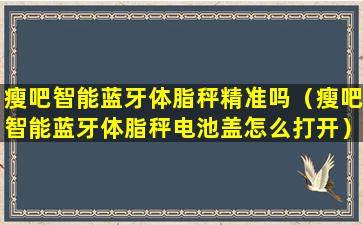 瘦吧智能蓝牙体脂秤精准吗（瘦吧智能蓝牙体脂秤电池盖怎么打开）