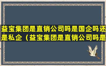 益宝集团是直销公司吗是国企吗还是私企（益宝集团是直销公司吗是国企吗还是私企啊）