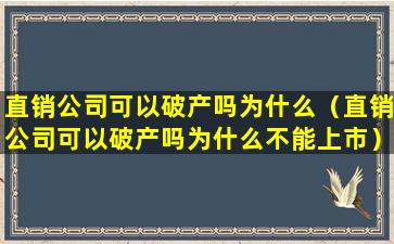 直销公司可以破产吗为什么（直销公司可以破产吗为什么不能上市）