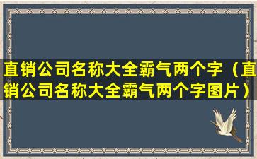 直销公司名称大全霸气两个字（直销公司名称大全霸气两个字图片）