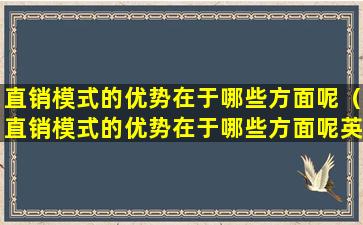 直销模式的优势在于哪些方面呢（直销模式的优势在于哪些方面呢英语）