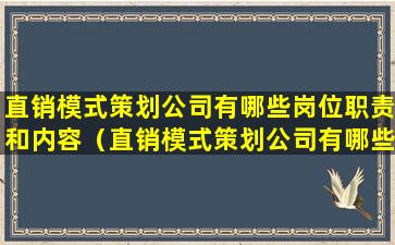 直销模式策划公司有哪些岗位职责和内容（直销模式策划公司有哪些岗位职责和内容要求）