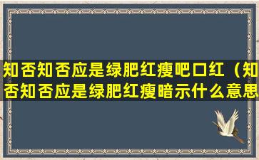 知否知否应是绿肥红瘦吧口红（知否知否应是绿肥红瘦暗示什么意思）