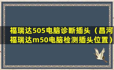 福瑞达505电脑诊断插头（昌河福瑞达m50电脑检测插头位置）