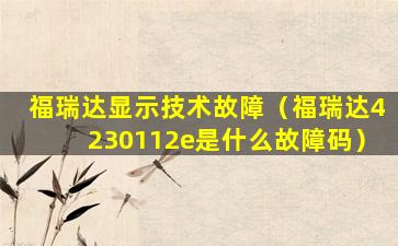 福瑞达显示技术故障（福瑞达4230112e是什么故障码）