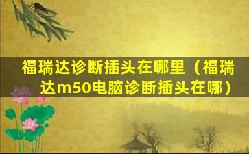 福瑞达诊断插头在哪里（福瑞达m50电脑诊断插头在哪）