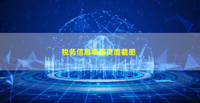 税务信息填写页面