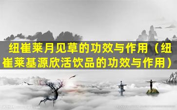 纽崔莱月见草的功效与作用（纽崔莱基源欣活饮品的功效与作用）