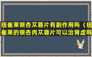 纽崔莱银杏苁蓉片有副作用吗（纽崔莱的银杏肉苁蓉片可以治肾虚吗）