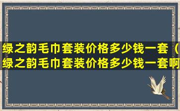 绿之韵毛巾套装价格多少钱一套（绿之韵毛巾套装价格多少钱一套啊）