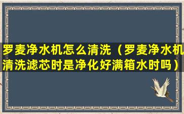 罗麦净水机怎么清洗（罗麦净水机清洗滤芯时是净化好满箱水时吗）