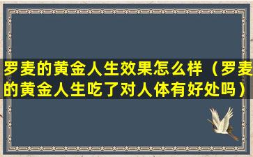 罗麦的黄金人生效果怎么样（罗麦的黄金人生吃了对人体有好处吗）