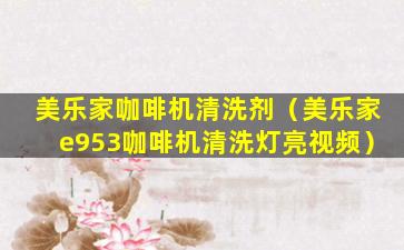 美乐家咖啡机清洗剂（美乐家e953咖啡机清洗灯亮视频）
