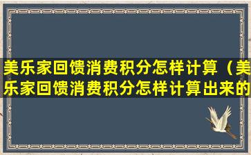 美乐家回馈消费积分怎样计算（美乐家回馈消费积分怎样计算出来的）