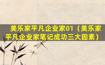 美乐家平凡企业家01（美乐家平凡企业家笔记成功三大因素）