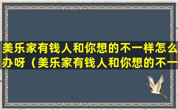 美乐家有钱人和你想的不一样怎么办呀（美乐家有钱人和你想的不一样感悟）