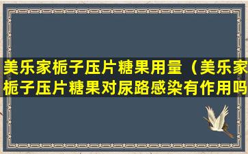 美乐家栀子压片糖果用量（美乐家栀子压片糖果对尿路感染有作用吗）