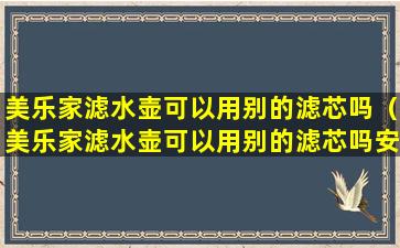美乐家滤水壶可以用别的滤芯吗（美乐家滤水壶可以用别的滤芯吗安全吗）