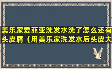 美乐家爱菲亚洗发水洗了怎么还有头皮屑（用美乐家洗发水后头皮大块掉）
