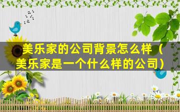 美乐家的公司背景怎么样（美乐家是一个什么样的公司）