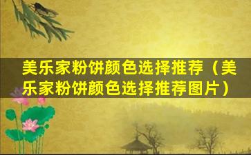 美乐家粉饼颜色选择推荐（美乐家粉饼颜色选择推荐图片）