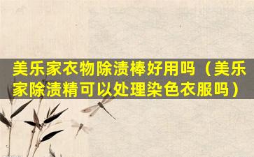 美乐家衣物除渍棒好用吗（美乐家除渍精可以处理染色衣服吗）
