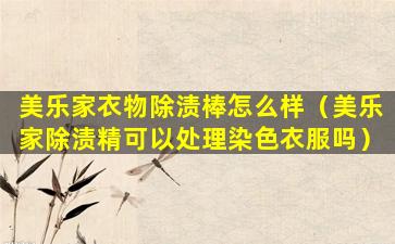 美乐家衣物除渍棒怎么样（美乐家除渍精可以处理染色衣服吗）