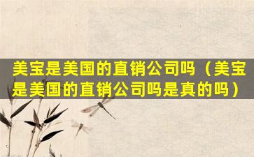 美宝是美国的直销公司吗（美宝是美国的直销公司吗是真的吗）