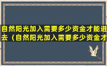 自然阳光加入需要多少资金才能进去（自然阳光加入需要多少资金才能进去呢）