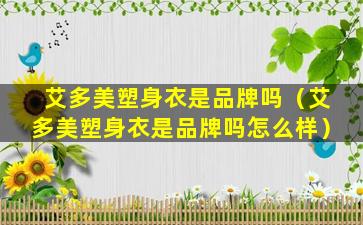 艾多美塑身衣是品牌吗（艾多美塑身衣是品牌吗怎么样）