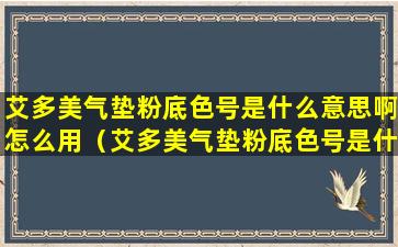 艾多美气垫粉底色号是什么意思啊怎么用（艾多美气垫粉底色号是什么意思啊怎么用视频）