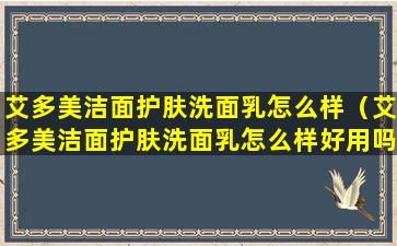 艾多美洁面护肤洗面乳怎么样（艾多美洁面护肤洗面乳怎么样好用吗）