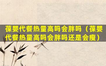 葆婴代餐热量高吗会胖吗（葆婴代餐热量高吗会胖吗还是会瘦）