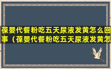 葆婴代餐粉吃五天尿液发黄怎么回事（葆婴代餐粉吃五天尿液发黄怎么回事啊）