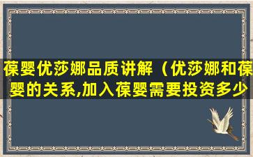 葆婴优莎娜品质讲解（优莎娜和葆婴的关系,加入葆婴需要投资多少钱,葆婴事件）