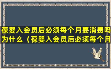 葆婴入会员后必须每个月要消费吗为什么（葆婴入会员后必须每个月要消费吗为什么不能用）