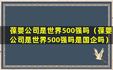 葆婴公司是世界500强吗（葆婴公司是世界500强吗是国企吗）