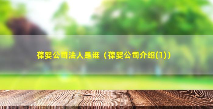 葆婴公司法人是谁（葆婴公司介绍(1)）