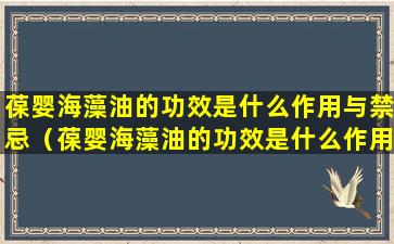葆婴海藻油的功效是什么作用与禁忌（葆婴海藻油的功效是什么作用与禁忌呢）