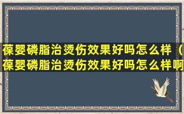 葆婴磷脂治烫伤效果好吗怎么样（葆婴磷脂治烫伤效果好吗怎么样啊）