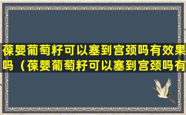 葆婴葡萄籽可以塞到宫颈吗有效果吗（葆婴葡萄籽可以塞到宫颈吗有效果吗孕妇）